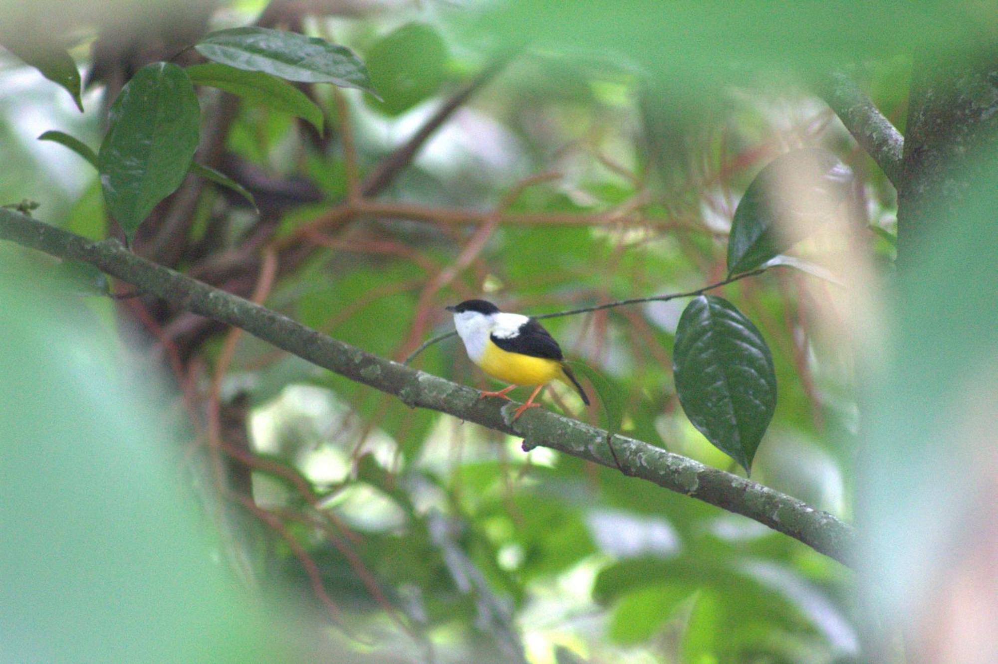 Home La Fortuna Екстериор снимка